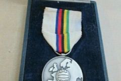 1968-euro-silver-medal-2