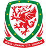 Wales national football team